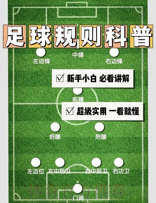 全面解析世界杯外围赛策略与技巧